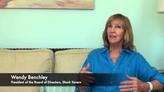 Amity - Summer for Our Sharks