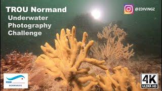 4K50 -  FFESSM TROU Normand - Underwater Photography Challenge in Normandy - 2022