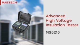 MASTECH Advanced High Voltage Insulation Tester MS5215