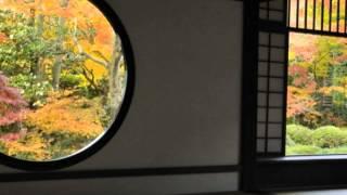 Japan Trip: Manshuin filled with cultural assets & Japanese garden, Kyoto