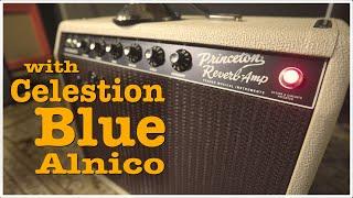 Fender Princeton Reverb Celestion Blue Alnico 12" - EP388