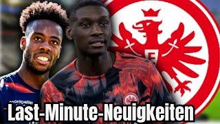 Frankfurt: Aktuelle Nachrichten! Transfer-Update! Eintracht Frankfurt