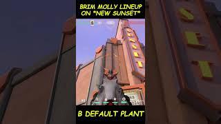 NEW SUNSET MAP | Brim Molly Lineup for B default Plant #valorant #valorantlineups #valorantclips