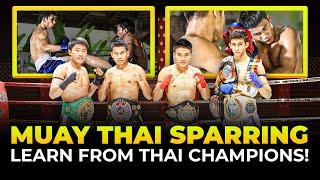 MUAY THAI SPARRING | TRAINING FOR BEGINNERS