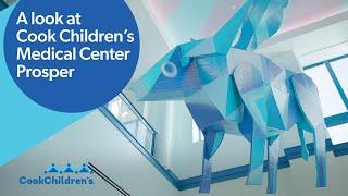 Cook Children's Medical Center Prosper | Prosper, TX | Cook Children's