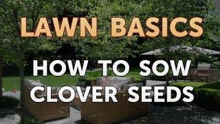 How to Sow Clover Seeds