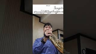 Prokofiev symphony no.5 1st mov horn solo(프로코피예프 5번 교향곡 1악장 호른 솔로)