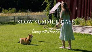 ️ Quiet days off in the countryside | Slow life in Sweden vlog