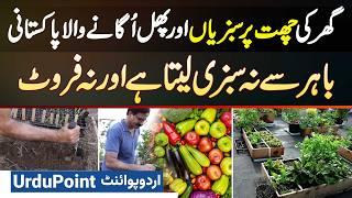 Roof Gardening Ideas For Home - Ghar Ki Roof Par Vegetables & Fruits Ugaye - Kitchen Gardening Ideas