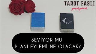 Seviyor mu, derdi ne?/ Planı, eylemi ne olacak?/ Tarot, tarot falı