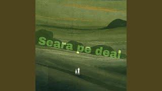 Seara pe deal