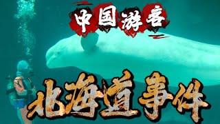 一個視頻完全掌握日本法律，日本什麼應該做，什麼不應該做？中國人去北海道旅遊，這些地雷不要碰，出國旅遊一定要看