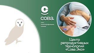 Центр репродуктивных технологий «Сова ЭКО»