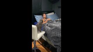 Bedtime Story Pickles