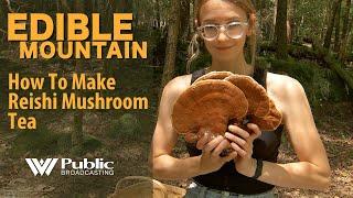 Edible Mountain - How To Make Reishi Mushroom Tea