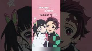 what's your favourite ship ? mine is tankanao and my sister's is kanae x sanemi