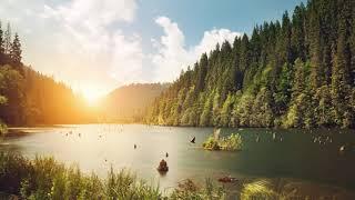 Relaxing calm music; Relax yourself in a serene environment