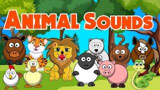 Animal sounds for Toddlers | Rhymes for Babies | LittleKidsTV