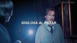 Remus Lupin // Loba Shakira la combinación que no sabias que necesitabas