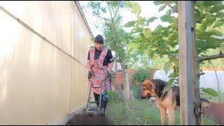 Первые заготовки. Зелень впрок. Носочки для огорода. Работа в кайф. Жизнь семьи в деревне.