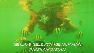 WOWW... PESONA KEINDAHAN IKAN-IKAN CANTIK PENGHUNI TERUMBU KARANG PANGANDARAN || SNORKLING