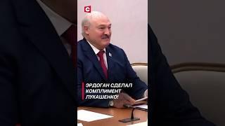 Эрдоган сделал комплимент Лукашенко! #shorts #лукашенко #эрдоган #новости #политика #беларусь #шос