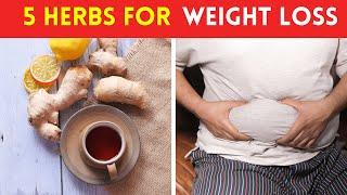 5 Herbs That Burn Belly Fat and Aid Weight Loss