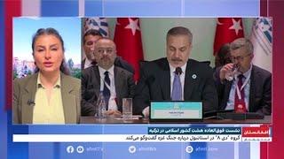 نشست فوق‌العاده هشت کشور اسلامی در ترکیه