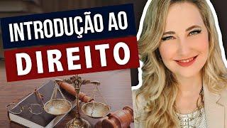 INTRODUÇÃO AO DIREITO: Passo a Passo Fácil de Entender (Aula Completa)