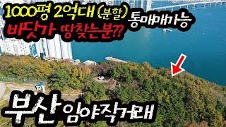 (직거래 ) 산지규제완화 예정 바다조망 토지매매 찾는다면 부산 송도해수욕장 옆 임야매매