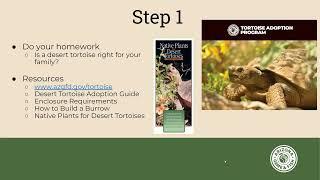 Arizona's Desert Tortoise Adoption Program / Kellie Tharp