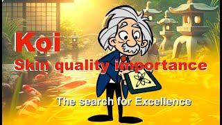 Koi Skin Quality importance - The search for Excellence