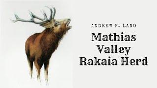 The Rakaia Herd Andrew P  Lang; Mathias Valley, Rakaia River Catchment 2005