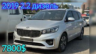 Таза Карнивал 2019 7800$ Без ДТП, +821079399496 Корея 2024