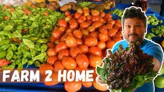 Price Wars: Home Delivery vs the Market vs Groceries in Trinidad | Vegetables and Fruits