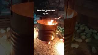 Brooder pemanas ayam bahan bakar sekam kayu ulin #brooder #ayam #pemanas