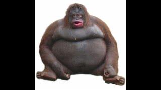 Fat monke lore (emotional)