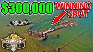 You WON'T BELIEVE where $300k worth of Fish were Hiding!!