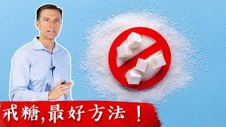 只要2天戒糖與碳水,生酮取代糖,自然療法柏格醫生 Dr Berg