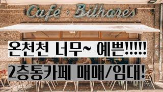 나도 이런 예쁜 카페 한번 운영해보자! 온천천 카페거리 메인도로 최요지! 2층 통카페 매매 또는 임대 (사거나 임대하거나 두가지 옵션이 다 열려있는 사장될 수 있는 좋은 기회)