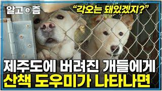 문이 열리고 그야말로 난리가 났다 주체할 수 없는 에너지와 신남 누가 얘네들 좀 도와주세요｜세상에 나쁜 개는 없다｜알고e즘