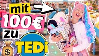 Was bekommt man für 100€ bei TEDI? Billig-Laden | ViktoriaSarina