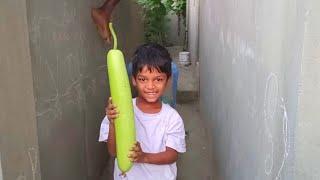 ఈరోజు Lunch లోకి మా పెరటి లో కాసిన సొరకాయతో దప్పలం చేసాను