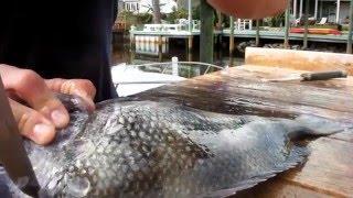 How To Clean A Sheepshead