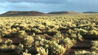 How can Natural Resources SA Arid Lands help you?