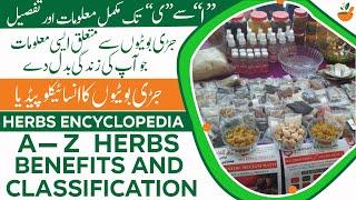 Encyclopedia of Herbs & Herbal Medicine | Desi Jaribotian Mukamal Malomaat | What is Pansar ki Duka?