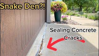 Sealing The Cracks In Your Concrete! #homeowner #realestate #diy