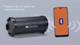 Портативный динамик Canyon с мощным звучанием CNE-CBTSP5