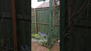 Rain Sound #newzealand  https://youtu.be/8_rSsJXmLNk?si=Gnyt9N4neSyPym6W