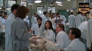 Gross Anatomy-We didn't cover that in class-You guessing-Am I right-Yeah-Then I'm not guessing-80s